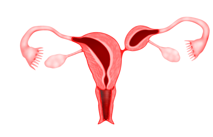 Ovarian Abnormalities Treatment in Dubai